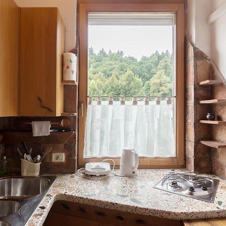 Cozy, Bright And Affordable Single Studio - Free Parking Laibach Exterior foto